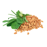 Methi illustration